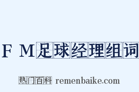 FM足球经理组词是什么意思的图片